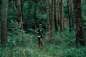 BIB: 
                            <button type="button" onclick="openModal(25236411)" class="btn btn-primary btn-sm float-right btn-popup" data-toggle="modal" data-target=".modal-high-quality">
                        <i class="fas fa-shopping-cart"></i> Add to Cart
                    </button>
                                            <button type="button" onclick="isThisMe(25236411, true)" class="btn btn-success btn-sm float-right btn-popup btn-isme hidden" data-toggle="tooltip" data-placement="bottom" title="นี่คือรูปของคุณใช่ไหม คลิกที่นี่เพื่อเอาเข้าอัลบั้ม">
                        <i class="fas fa-plus"></i> Add to album
                    </button>
                    <button type="button" onclick="isThisMe(25236411, false)" class="btn btn-warning btn-sm float-right btn-popup btn-isnotme hidden">
                        <i class="fas fa-ban"></i> Remove from album
                    </button>